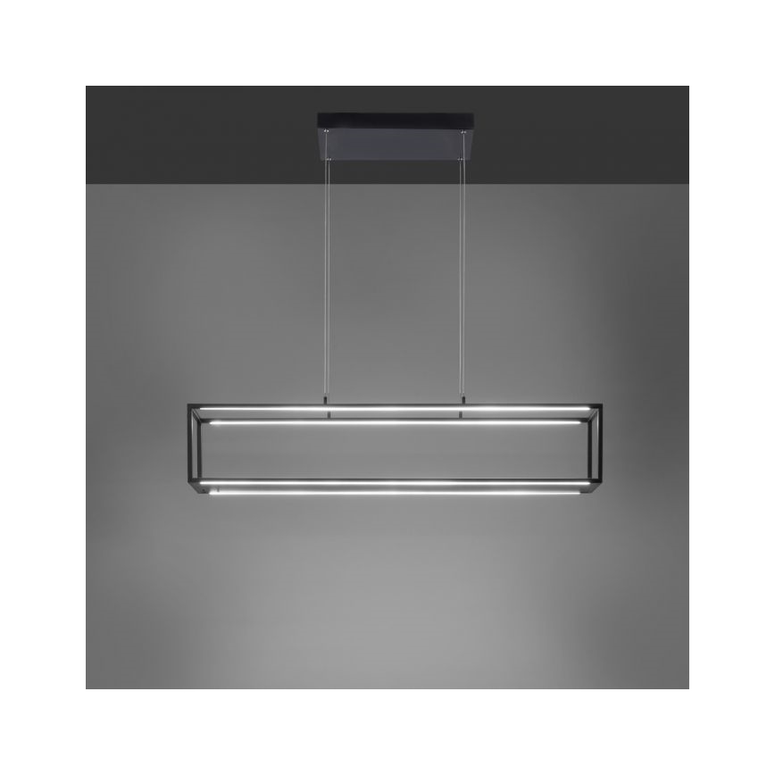 Paul Neuhaus 2441-18 - LED Димируем висящ полилей CONTURA 4xLED/8W/230V