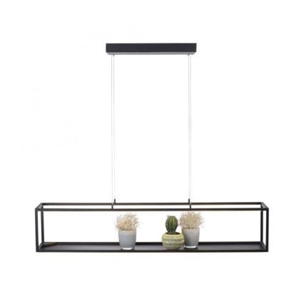 Paul Neuhaus 2441-18 - LED Димируем висящ полилей CONTURA 4xLED/8W/230V