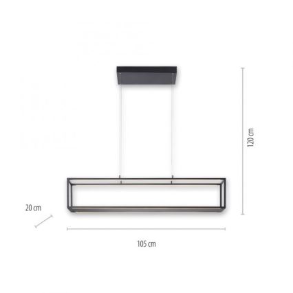 Paul Neuhaus 2441-18 - LED Димируем висящ полилей CONTURA 4xLED/8W/230V
