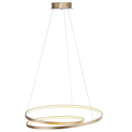 Paul Neuhaus 2474-12 - LED Димируем висящ полилей ROMAN LED/40W/230V златист