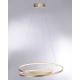 Paul Neuhaus 2474-12 - LED Димируем висящ полилей ROMAN LED/40W/230V златист