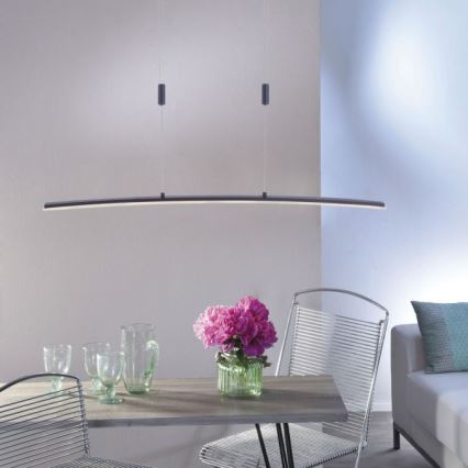 Paul Neuhaus 2530-13 - LED Димируем висящ полилей JANINA LED/27W/230V