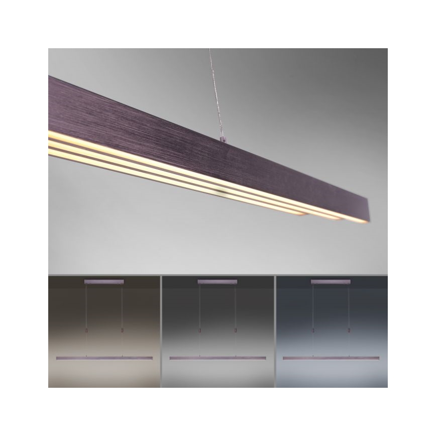 Paul Neuhaus 2568-24 - LED Димируем пендел ADRIANA LED/14W/230V 2700-5000K