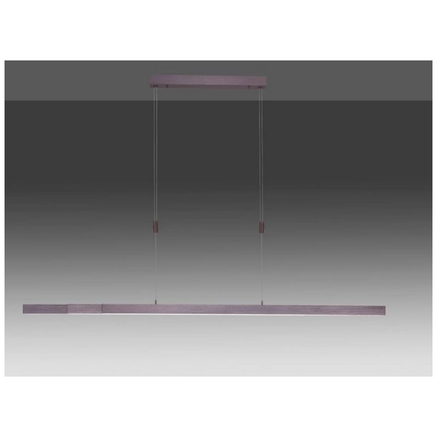 Paul Neuhaus 2568-24 - LED Димируем пендел ADRIANA LED/14W/230V 2700-5000K
