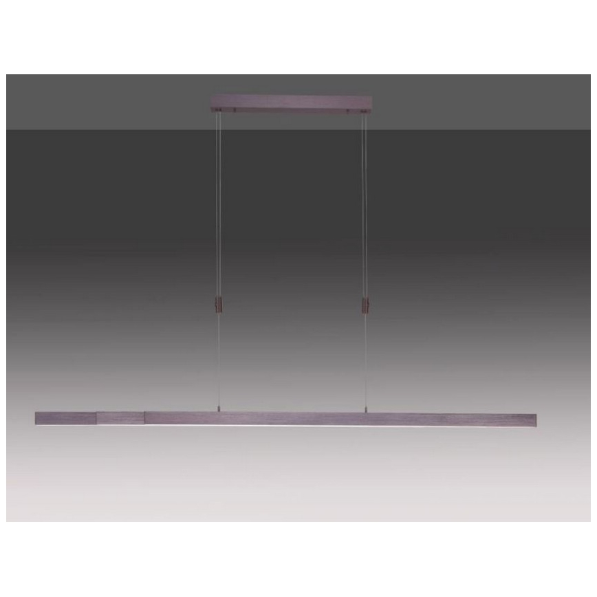 Paul Neuhaus 2568-24 - LED Димируем пендел ADRIANA LED/14W/230V 2700-5000K