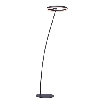 Paul Neuhaus 381-13 - LED Димируем лампион TITUS LED/19,5W/230V