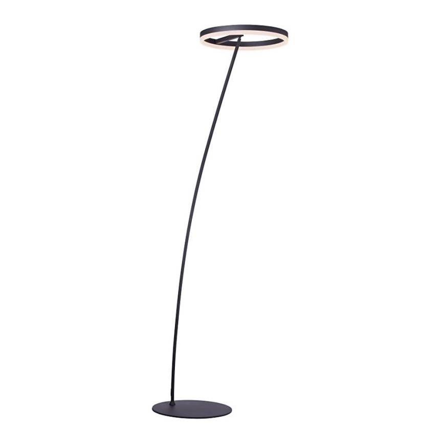 Paul Neuhaus 381-13 - LED Димируем лампион TITUS LED/19,5W/230V