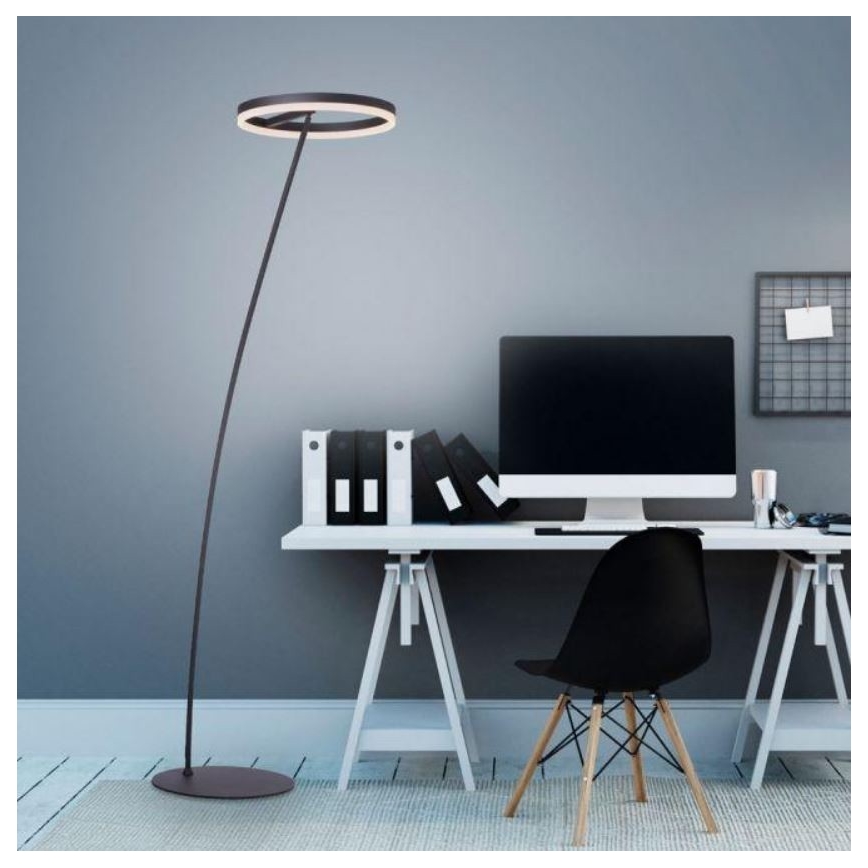 Paul Neuhaus 381-13 - LED Димируем лампион TITUS LED/19,5W/230V