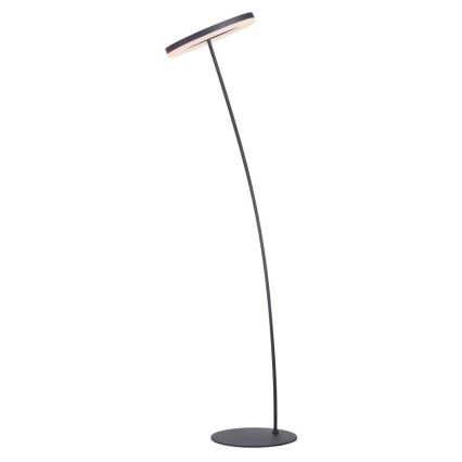 Paul Neuhaus 381-13 - LED Димируем лампион TITUS LED/19,5W/230V