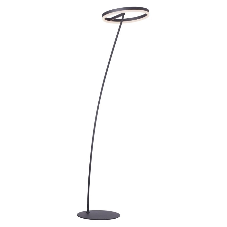Paul Neuhaus 381-13 - LED Димируем лампион TITUS LED/19,5W/230V