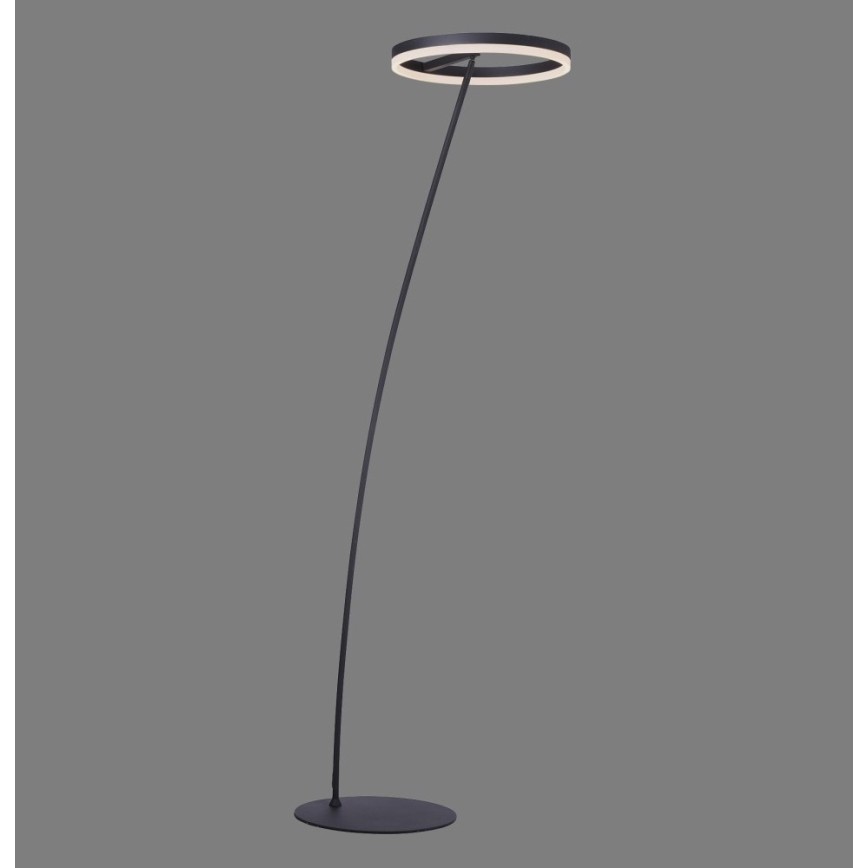 Paul Neuhaus 381-13 - LED Димируем лампион TITUS LED/19,5W/230V