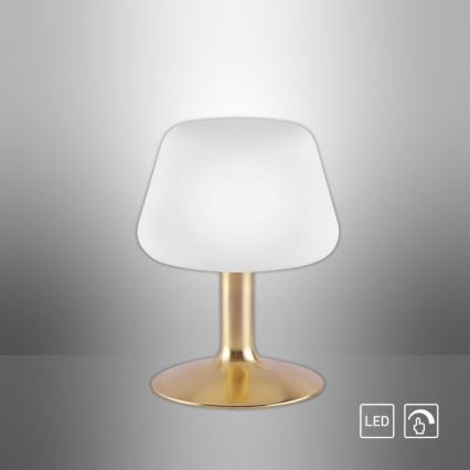 Paul Neuhaus 4078-60 - LED Димируема сензорна настолна лампа TILL 1xG9/3W/230V месинг