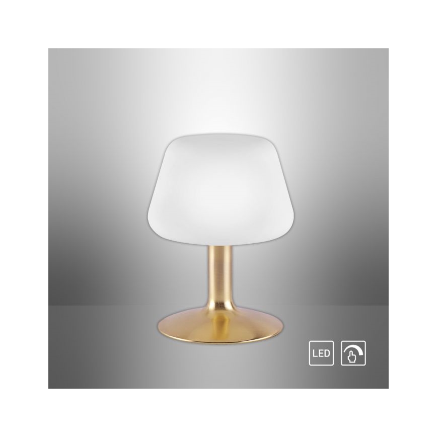 Paul Neuhaus 4078-60 - LED Димируема сензорна настолна лампа TILL 1xG9/3W/230V месинг