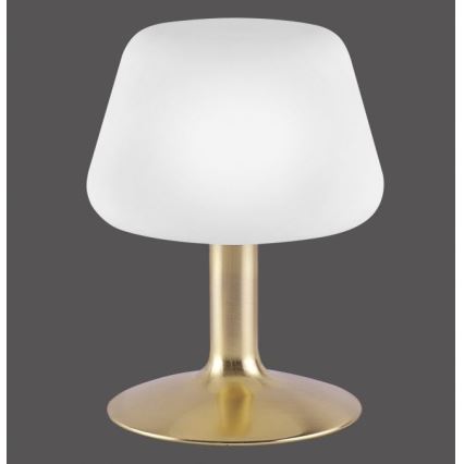 Paul Neuhaus 4078-60 - LED Димируема сензорна настолна лампа TILL 1xG9/3W/230V месинг