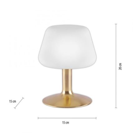 Paul Neuhaus 4078-60 - LED Димируема сензорна настолна лампа TILL 1xG9/3W/230V месинг