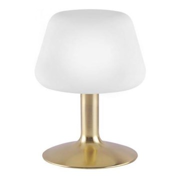 Paul Neuhaus 4078-60 - LED Димируема сензорна настолна лампа TILL 1xG9/3W/230V месинг
