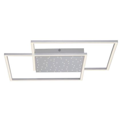 Paul Neuhaus 6024-55 - LED Димирум повърхностен полилей YUKI LED/49W/230V + дистанционно