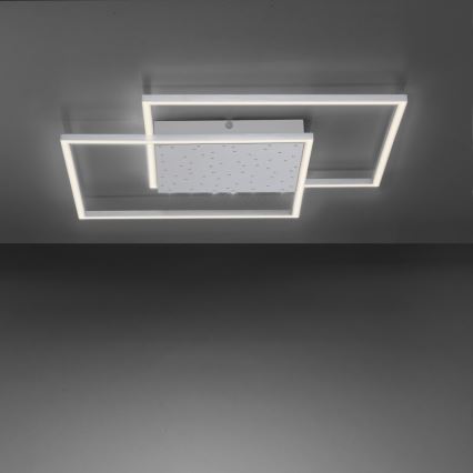 Paul Neuhaus 6024-55 - LED Димирум повърхностен полилей YUKI LED/49W/230V + дистанционно