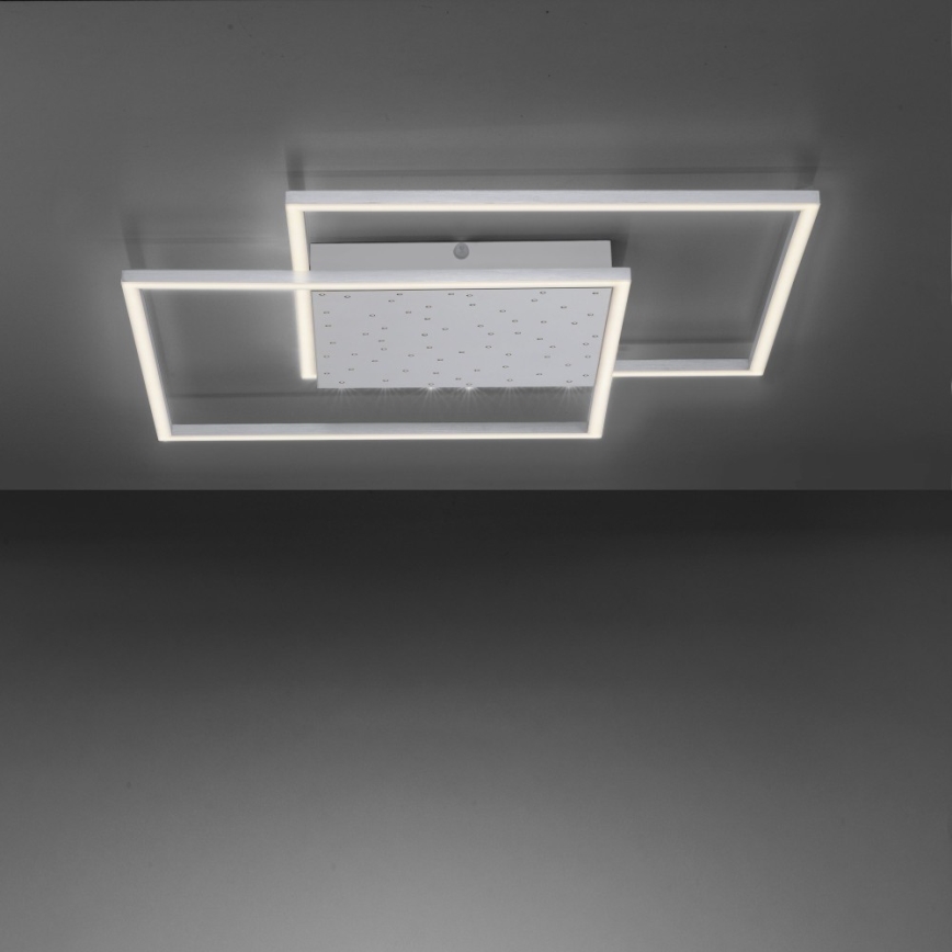 Paul Neuhaus 6024-55 - LED Димирум повърхностен полилей YUKI LED/49W/230V + дистанционно