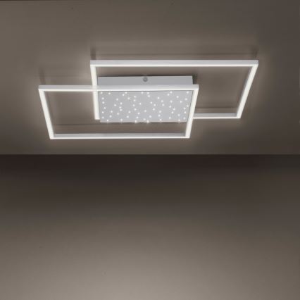 Paul Neuhaus 6024-55 - LED Димирум повърхностен полилей YUKI LED/49W/230V + дистанционно