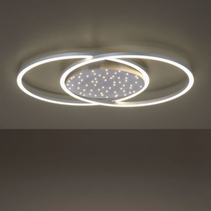 Paul Neuhaus 6025-55 - LED Димируем плафон YUKI LED/48W/230V + дистанционно