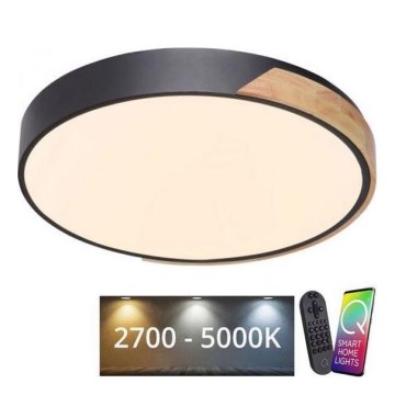 Paul Neuhaus 6071-18 - LED Димируем плафон Q-PIATO LED/35W/230V Ø 51 см 2700-5000K Wi-Fi + дистанционно управление