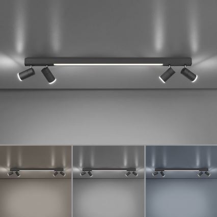 Paul Neuhaus 6121-13 - LED Димируем спот PURE 4xLED/4W/230V + LED/9W 2700-5000K + дистанционно управление