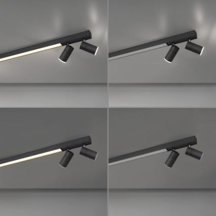 Paul Neuhaus 6121-13 - LED Димируем спот PURE 4xLED/4W/230V + LED/9W 2700-5000K + дистанционно управление