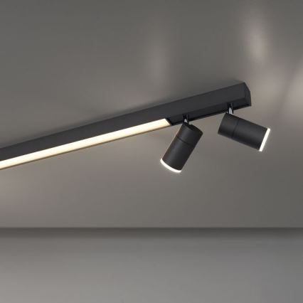 Paul Neuhaus 6121-13 - LED регулируемо точково осветително тяло PURE 4xLED/4W/230V + LED/9W 2700-5000K + дистанционно управление