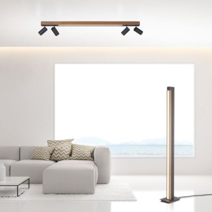 Paul Neuhaus 6121-79 - LED Димируем спот PURE 4xLED/4W/230V + LED/9W 2700-5000K + дистанционно управление