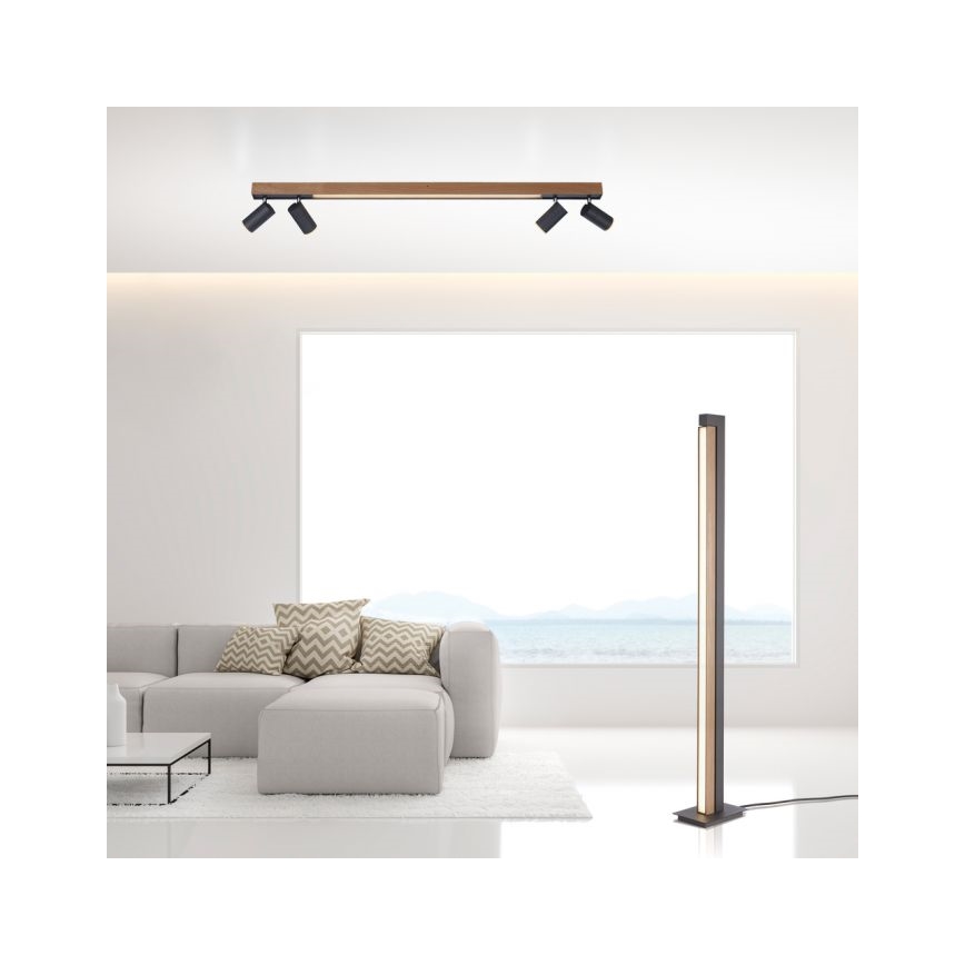 Paul Neuhaus 6121-79 - LED Димируем спот PURE 4xLED/4W/230V + LED/9W 2700-5000K + дистанционно управление