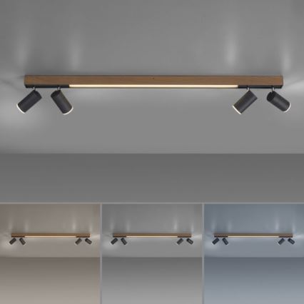 Paul Neuhaus 6121-79 - LED Димируем спот PURE 4xLED/4W/230V + LED/9W 2700-5000K + дистанционно управление