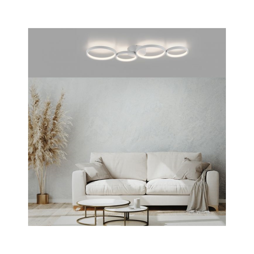 Paul Neuhaus 6183-16 - LED Димируем плафон KIRINGE LED/26W/230V