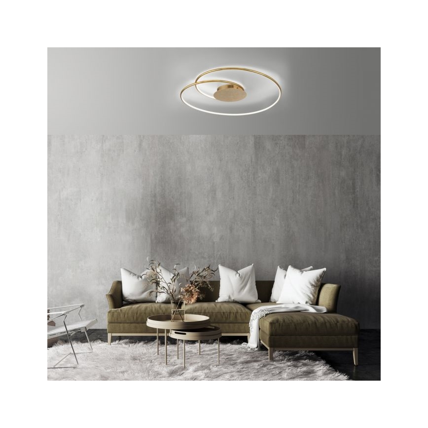 Paul Neuhaus 6189-12 - LED Димируем плафон NASTRO LED/26W/230V