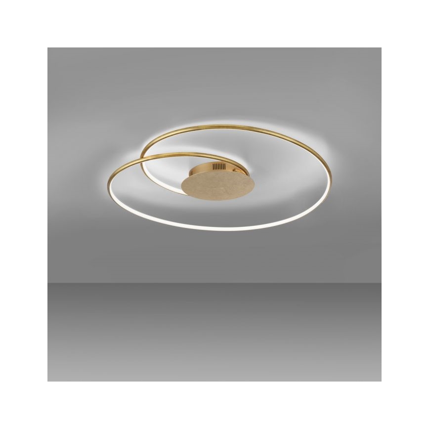 Paul Neuhaus 6189-12 - LED Димируем плафон NASTRO LED/26W/230V