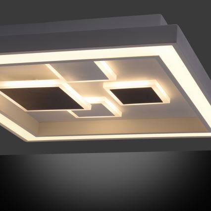 Paul Neuhaus 6283-16 - LED осветително тяло ELIZA LED / 30W / 230V + LED / 18,5W