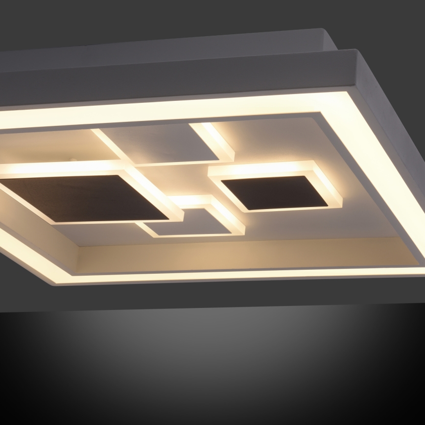 Paul Neuhaus 6283-16 - LED осветително тяло ELIZA LED / 30W / 230V + LED / 18,5W