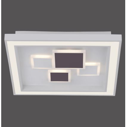 Paul Neuhaus 6283-16 - LED осветително тяло ELIZA LED / 30W / 230V + LED / 18,5W