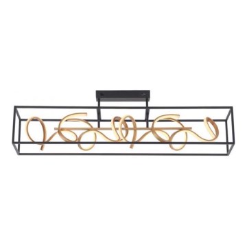 Paul Neuhaus 6473-18 - LED полилей с възможност за регулиране на светлината SELINA 4xLED / 10,2W / 230V