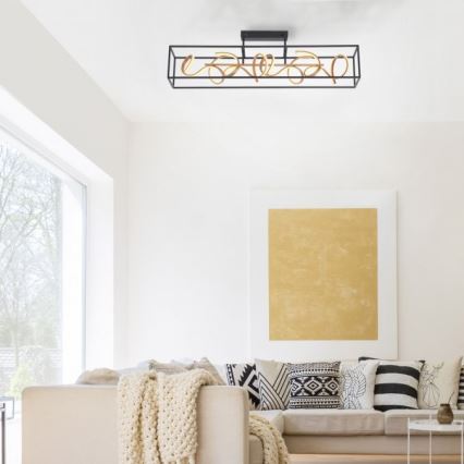 Paul Neuhaus 6473-18 - LED полилей с възможност за регулиране на светлината SELINA 4xLED / 10,2W / 230V