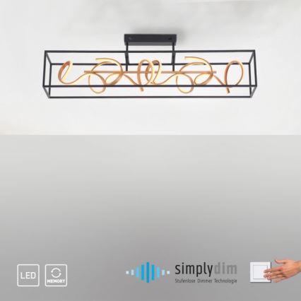 Paul Neuhaus 6473-18 - LED полилей с възможност за регулиране на светлината SELINA 4xLED / 10,2W / 230V