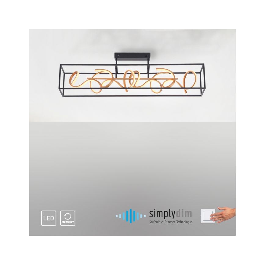 Paul Neuhaus 6473-18 - LED полилей с възможност за регулиране на светлината SELINA 4xLED / 10,2W / 230V