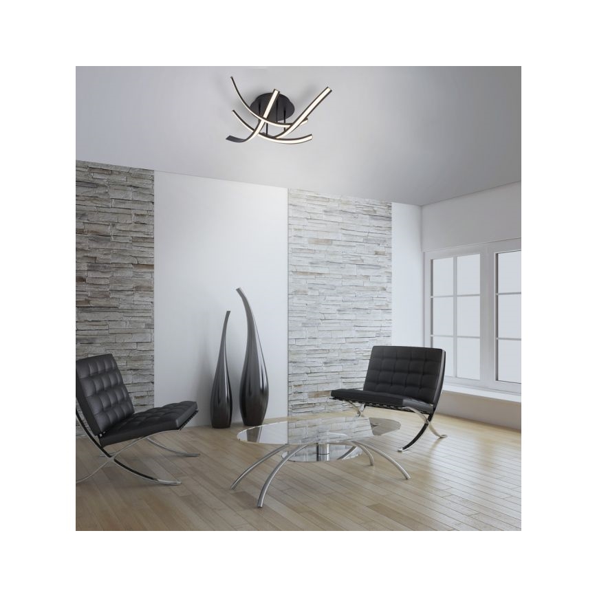 Paul Neuhaus 6474-48 - LED Димируем полилей за повърхностен монтаж LINDA 4xLED/7W/230V
