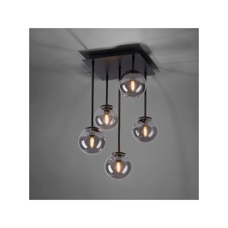 Paul Neuhaus 6719-18 - LED Висящ полилей WIDOW 5xG9/3W/230V