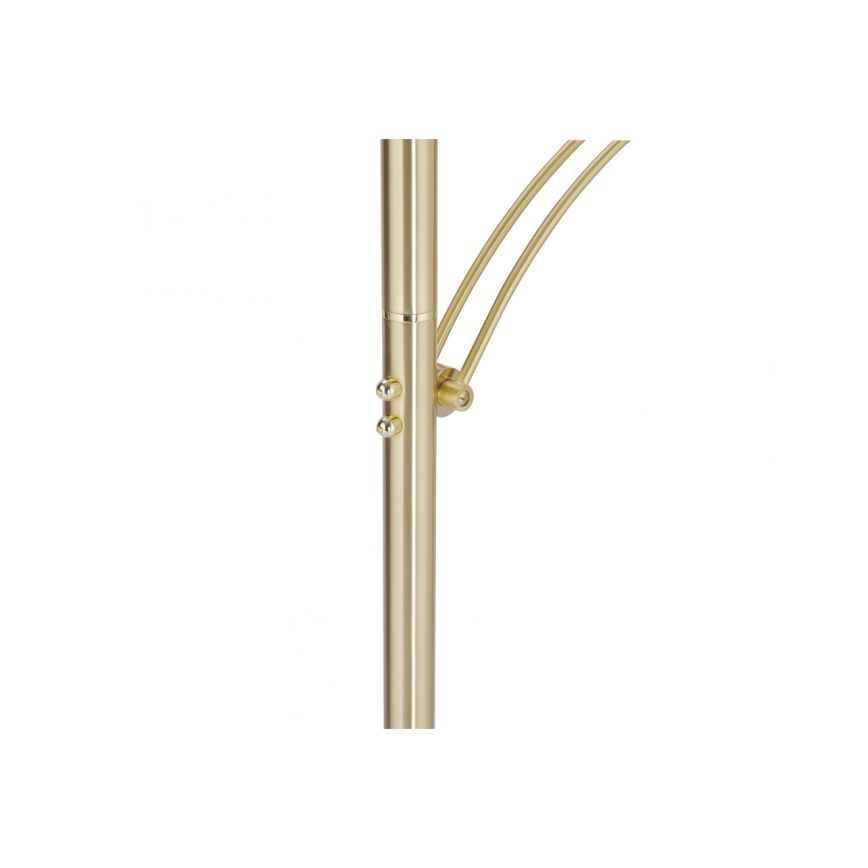 Paul Neuhaus 673-60 - LED димируема подова лампа ARTUR 2xLED/21W/230V+LED/6W златна