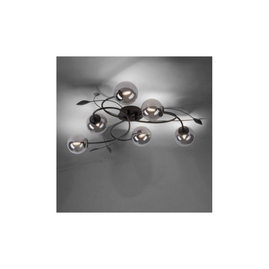 Paul Neuhaus 6737-18 - LED Повърхностен полилей WIDOW 6xG9/3W/230V