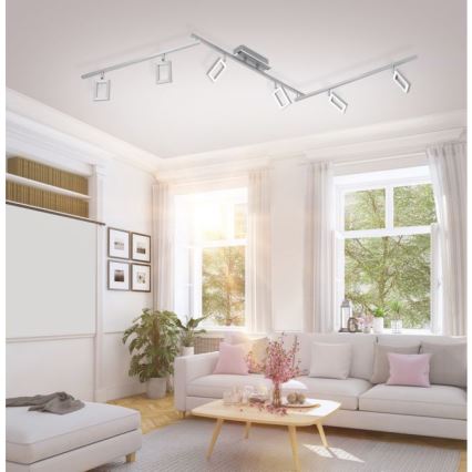 Paul Neuhaus 6965-55 - LED Димируем спот INIGO 6xLED/4W/230V