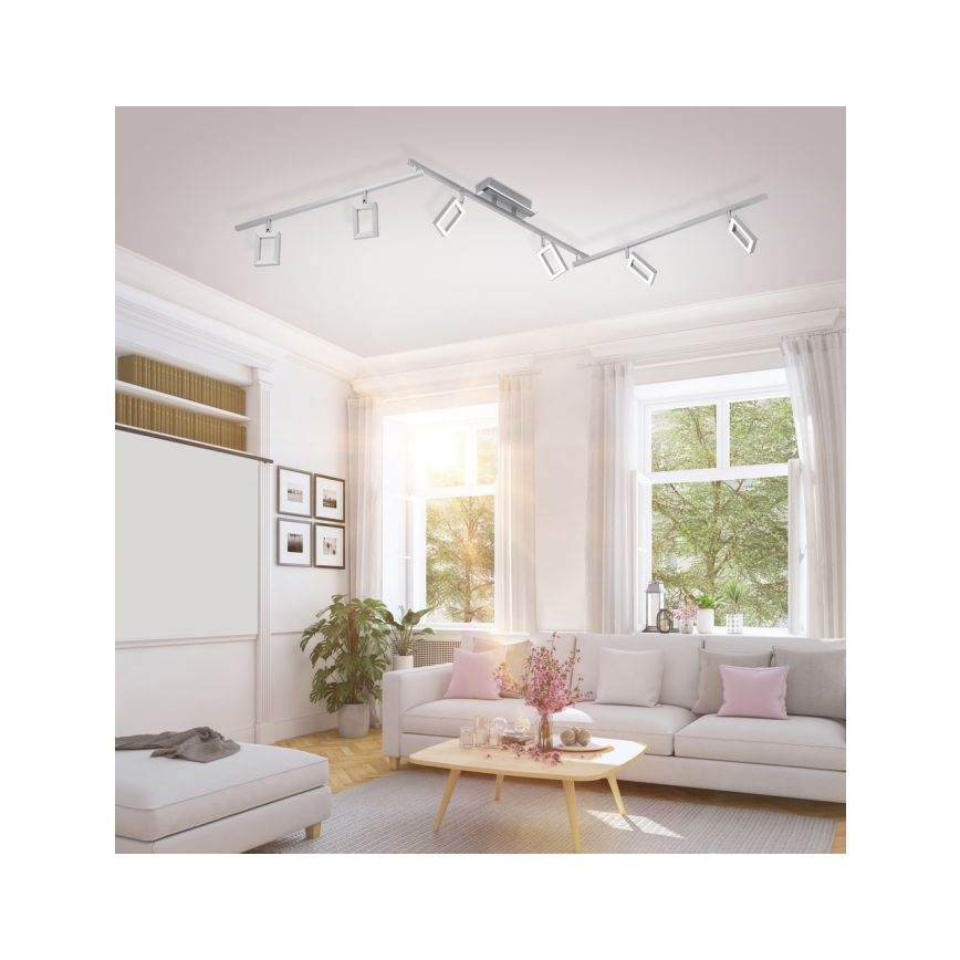 Paul Neuhaus 6965-55 - LED Димируем спот INIGO 6xLED/4W/230V