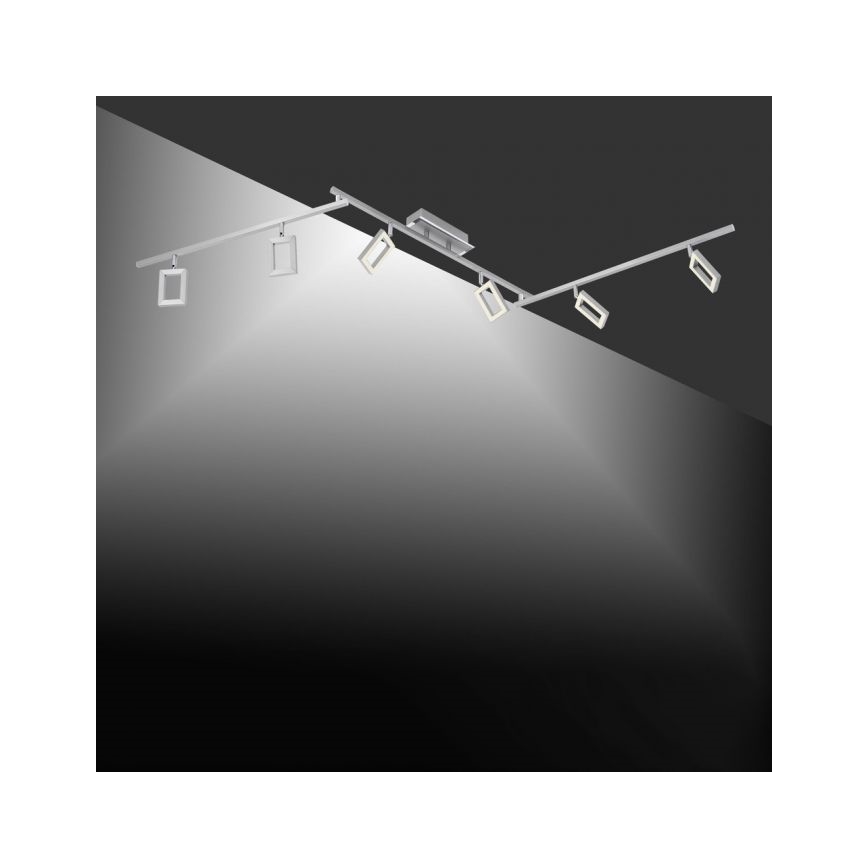 Paul Neuhaus 6965-55 - LED Димируем спот INIGO 6xLED/4W/230V