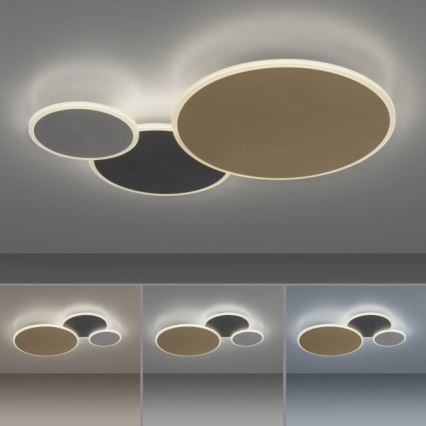 Paul Neuhaus 8007-70 - LED Димируем плафон Q-PIATO LED/35W/230V 2700-5000K Wi-Fi + дистанционно управление